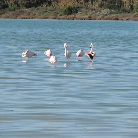 아파트 Residenza Serra *