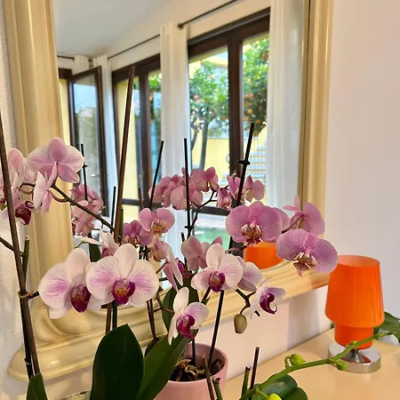 Apartamento Residenza Serra